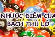 nhuoc diem bach thu lo